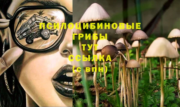мяу мяу кристалл Осинники