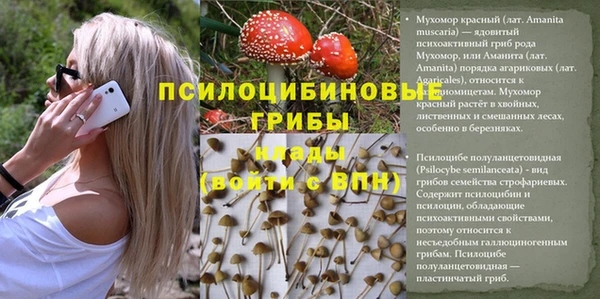 альфа пвп Остров