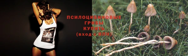 2c-b Осташков