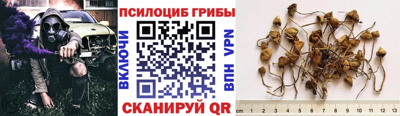 Галлюциногенные грибы GOLDEN TEACHER  наркота  Холм 